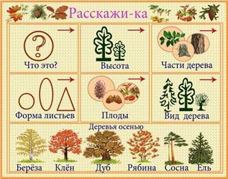 Описание деревьев