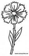 Василёк полевой цветок, лексическая тема логопеда