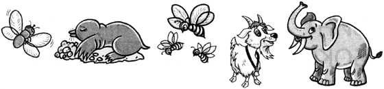 разные животные бабочки пчёлы