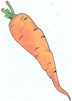 и морковь
